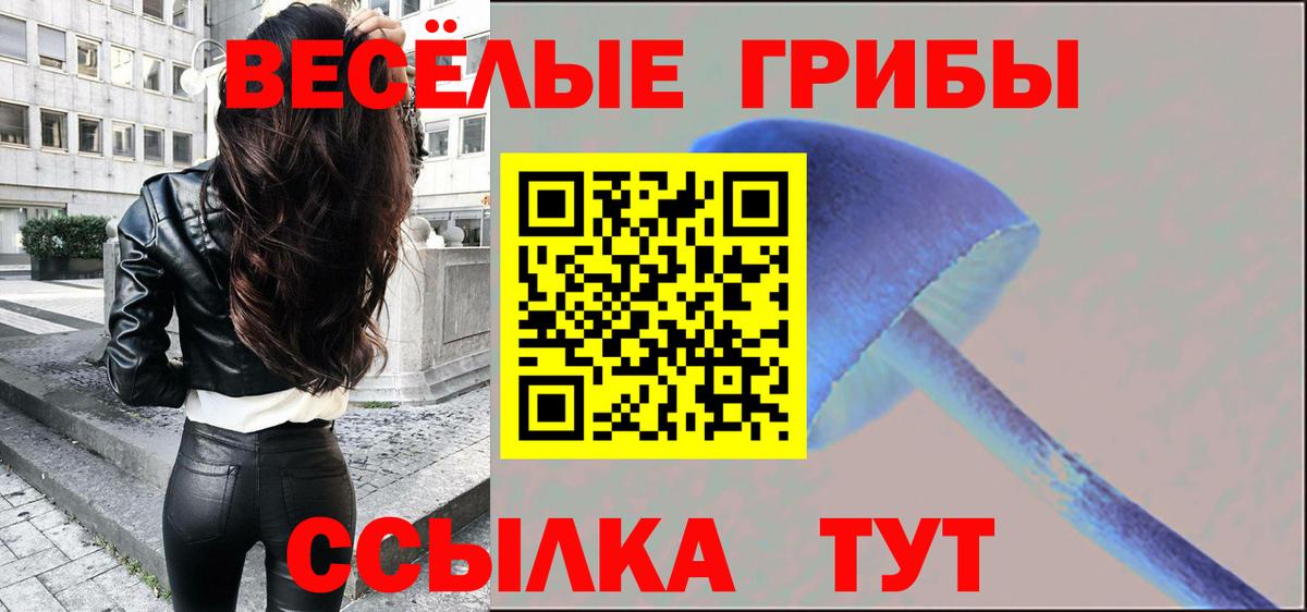 Галлюциногенные грибы Psilocybine cubensis  Вход с VPN  Урюпинск  Галлюциногенные грибы Magic Shrooms 