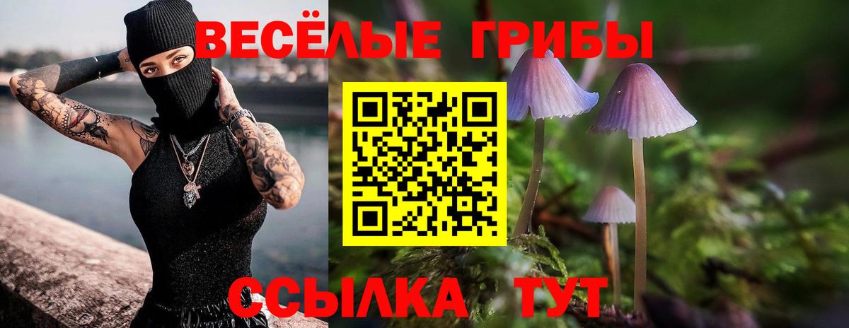 Галлюциногенные грибы Cubensis Урюпинск